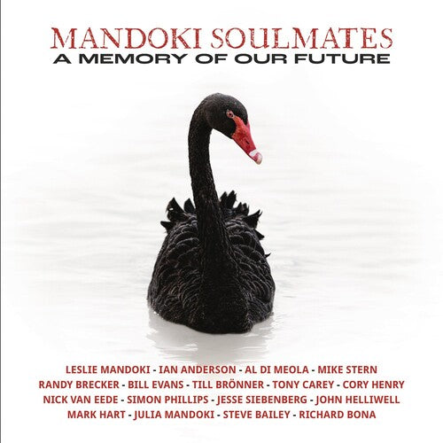 MANDOKI SOULMATES - MEMORY OF OUR FUTURE