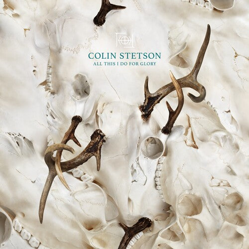 STETSON,COLIN - ALL THIS I DO FOR GLORY - TRANSPARENT PETROL