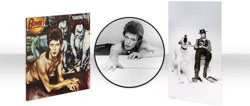 BOWIE,DAVID - DIAMOND DOGS (50TH ANNIVERSARY PICTURE DISC)