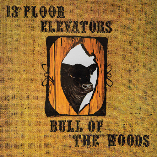 The 13th Floor Elevators – Bull Of The Woods
