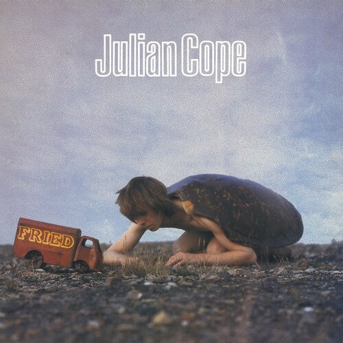 COPE,JULIAN - FRIED