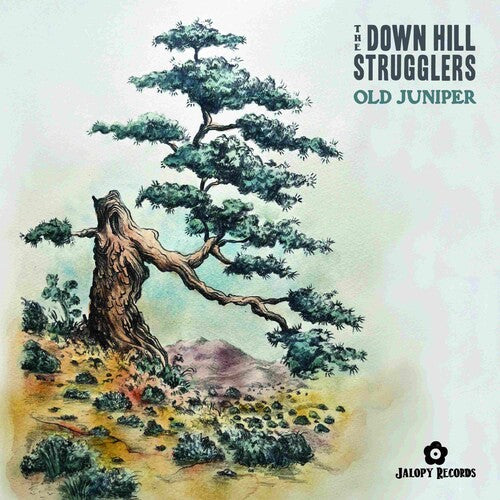 DOWN HILL STRUGGLERS - OLD JUNIPER