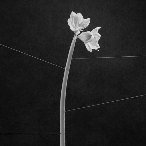 Trentemoller – Dreamweaver