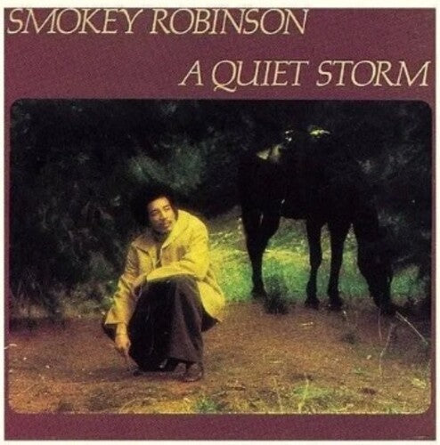 ROBINSON,SMOKEY - QUIET STORM