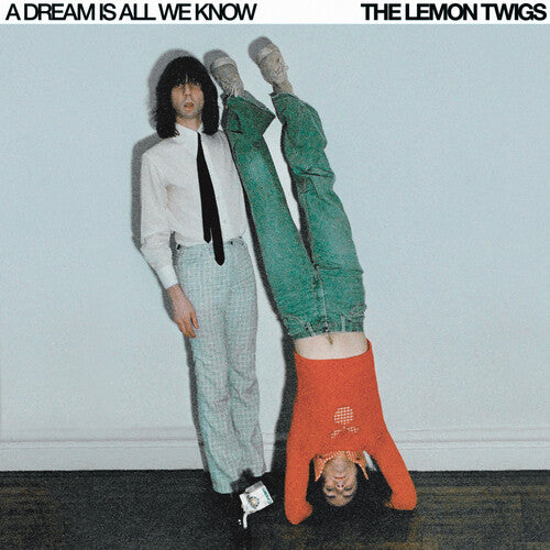 LEMON TWIGS - DREAM IS ALL WE KNOW