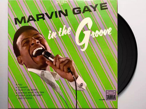 GAYE,MARVIN - IN THE GROOVE