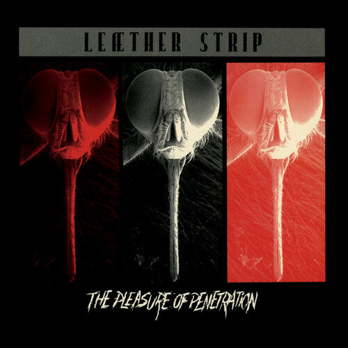 LEATHER STRIP - PLEASURE OF PENETRATION