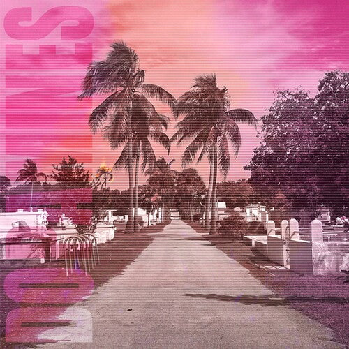 DOPAMINES - 80/20