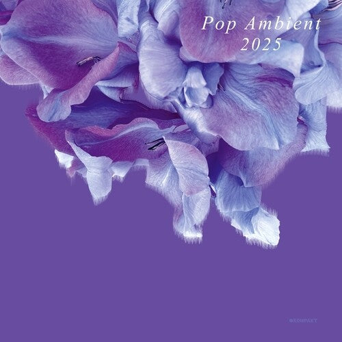 POP AMBIENT 2025 / VARIOUS - POP AMBIENT 2025 / VARIOUS