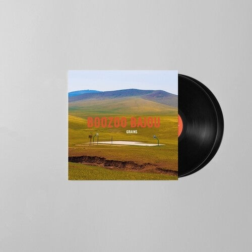BAJOU,BOOZOO - GRAINS (15TH ANNIVERSARY)