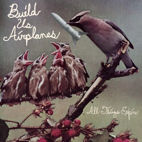 BUILD US AIRPLANES - ALL THINGS EXPIRE