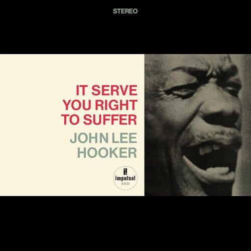 HOOKER,JOHN LEE - IT SERVE YOU RIGHT TO SUFFER (ACOUSTIC SOUNDS SER)