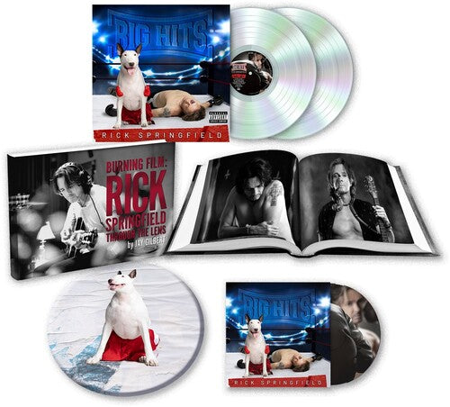 SPRINGFIELD,RICK - BIG HITS: RICK SPRINGFIELD'S GREATEST HITS VOL. 2