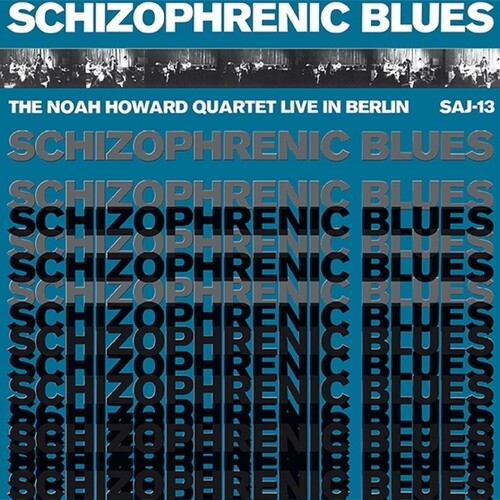 HOWARD,NOAH - SCHIZOPHRENIC BLUES
