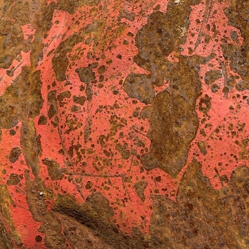 PURPLE TRAP (LASWELL,HAINO,ALI) - STONE