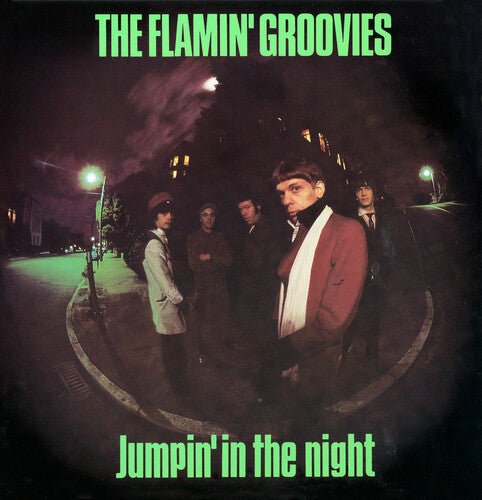 FLAMIN' GROOVIES - JUMPIN' IN THE NIGHT