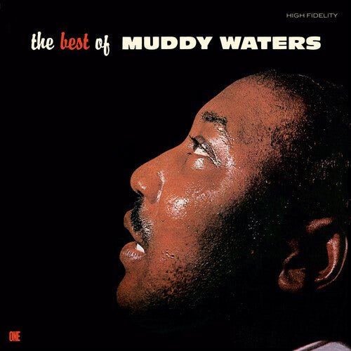 WATERS,MUDDY - BEST OF MUDDY WATERS
