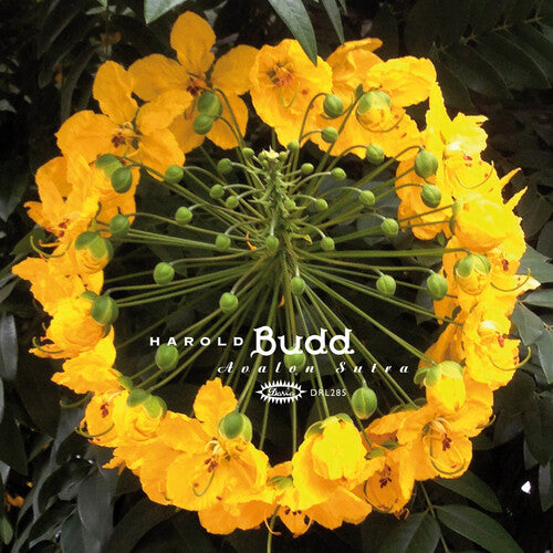 BUDD,HAROLD - AVALON SUTRA