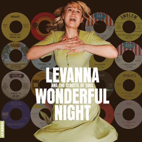 WONDERFUL NIGHT CURATED BY LEVANNA / VARIOUS - WONDERFUL NIGHT CURATED BY LEVANNA / VARIOUS