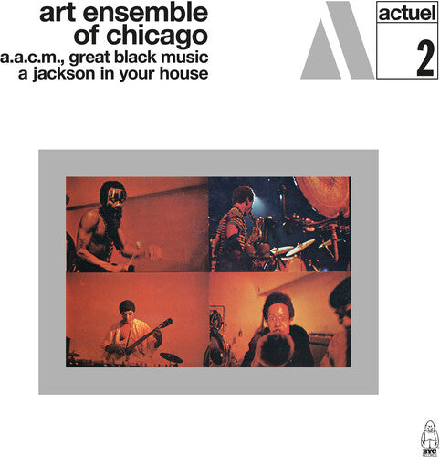 ART ENSEMBLE OF CHICAGO - JACKSON IN YOUR HOUSE