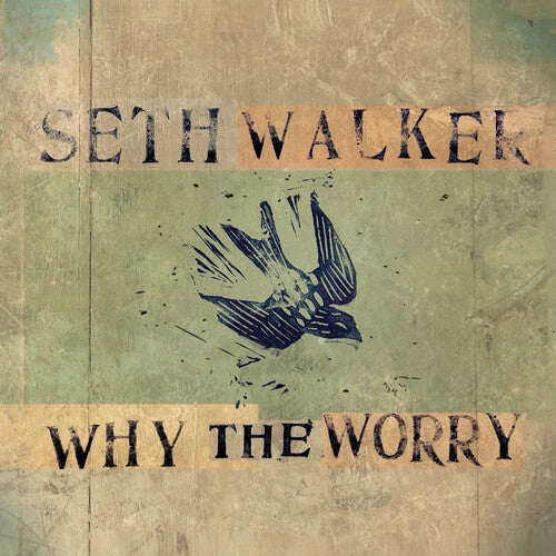 Seth Walker – Why The Worry