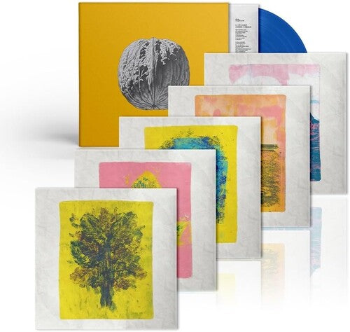 BRUNORI SAS - L'ALBERO DELLE NOCI