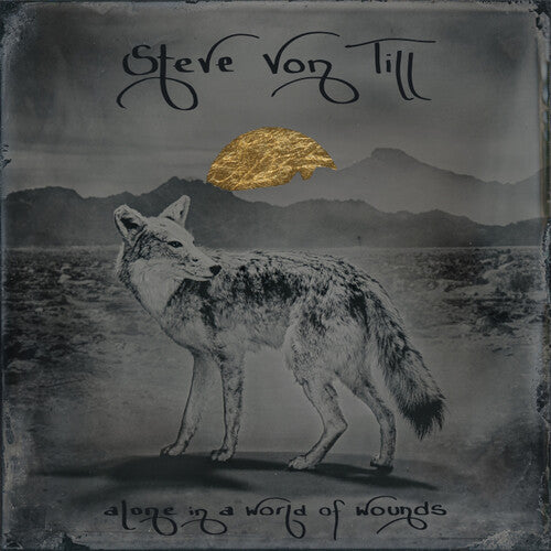 VON TILL,STEVE - ALONE IN A WORLD OF WOUNDS