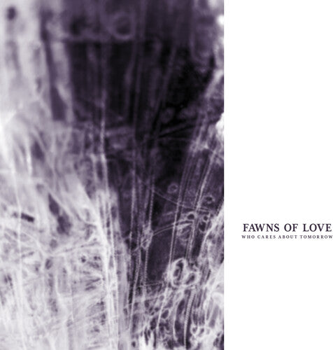 FAWNS OF LOVE - WHO CARES ABOUT TOMORROW