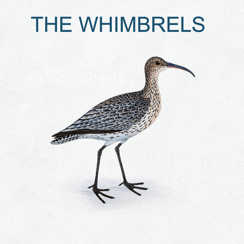 WHIMBRELS - WHIMBRELS