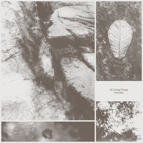 JIHA,PARK - ALL LIVING THINGS