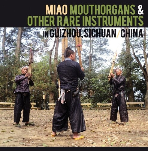 MIAO MOUTHORGANS & OTHER RARE INSTRUMENTS IN / VAR - MIAO MOUTHORGANS & OTHER RARE INSTRUMENTS IN / VAR