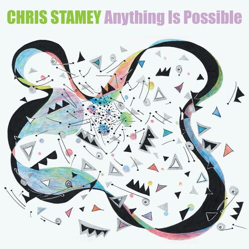 STAMEY,CHRIS - ANYTHING IS POSSIBLE