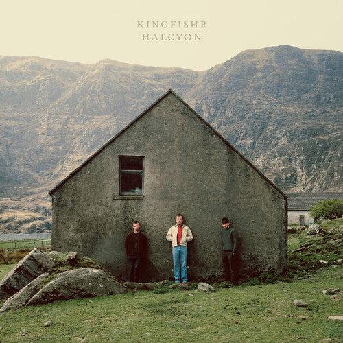 KINGFISHR - HALCYON