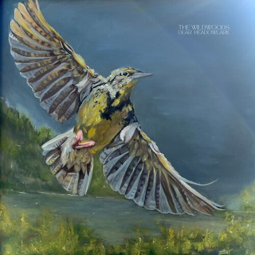 The Wildwoods – Dear Meadowlark