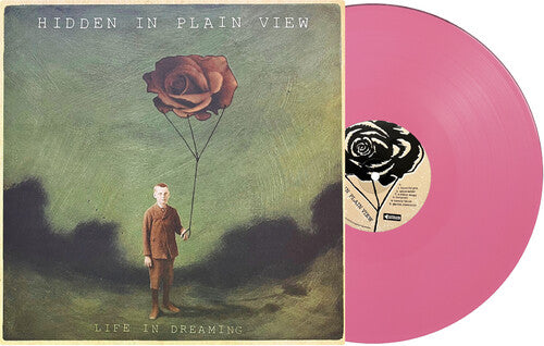 HIDDEN IN PLAIN VIEW - LIFE IN DREAMING