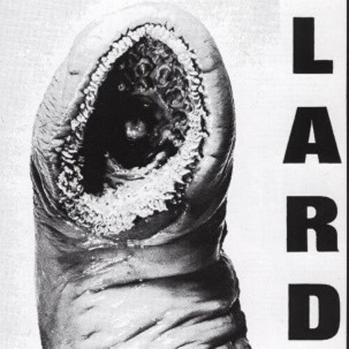 LARD - POWER OF LARD - WHITE