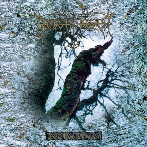 BORKNAGER - OLDEN DOMAIN