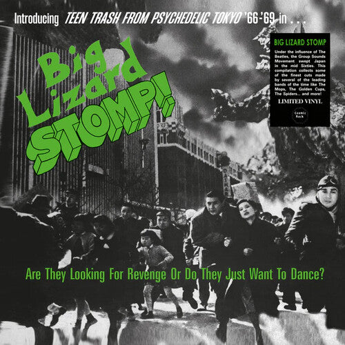 BIG LIZARD STOMP (TEEN TRASH FROM PSYCHEDELIC / VA - BIG LIZARD STOMP (TEEN TRASH FROM PSYCHEDELIC / VA