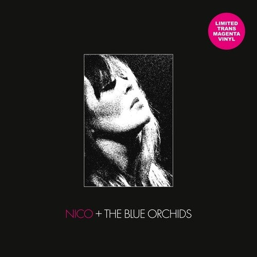 NICO / BLUE ORCHIDS - LIVE & IN SESSION 1982