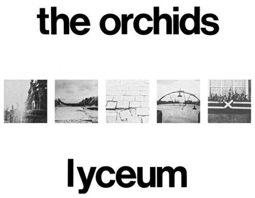 ORCHIDS - LYCEUM