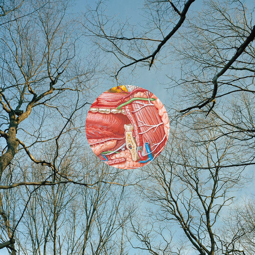 They Might Be Giants – Glean