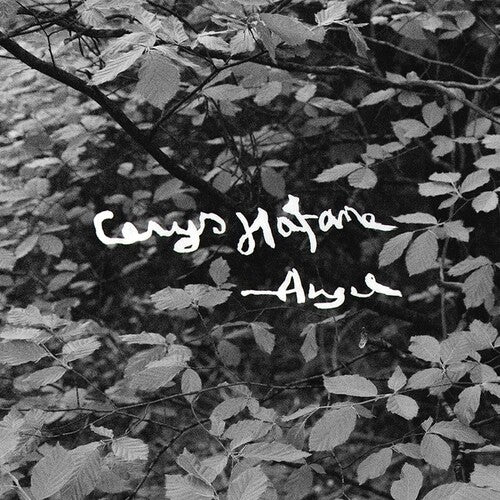 HAFANA,CERYS - ANGEL