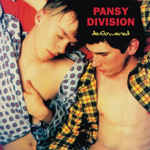 PANSY DIVISION - DEFLOWERED