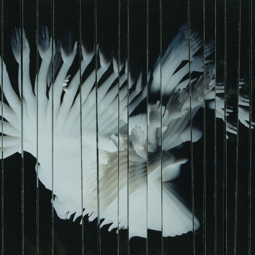 SCALER - ENDLESSLY