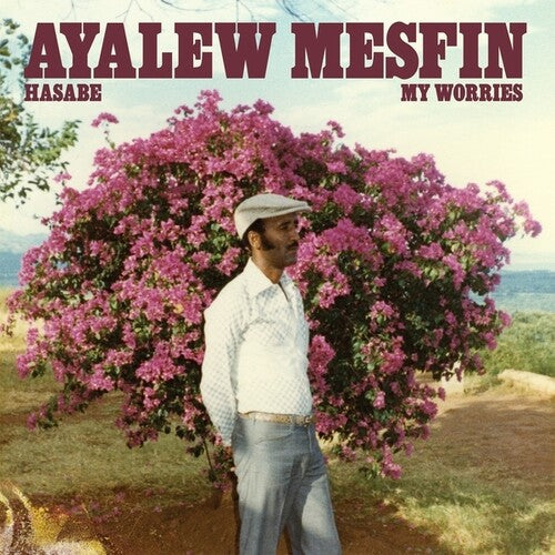 MESFIN,AYALEW - HASABE - MY WORRIES