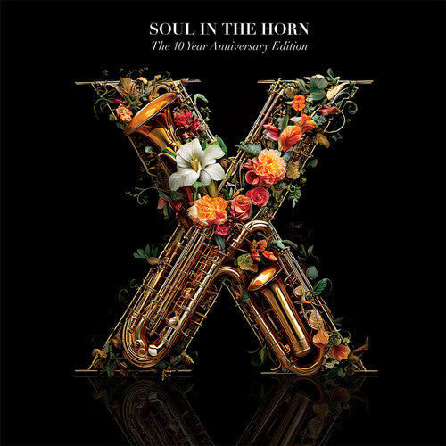 SOUL IN THE HORN / VARIOUS - SOUL IN THE HORN - 10 YEAR ANNIVERSARY / VARIOUS