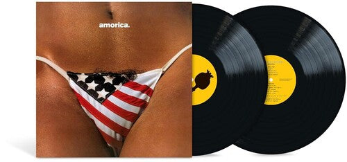 BLACK CROWES - AMORICA