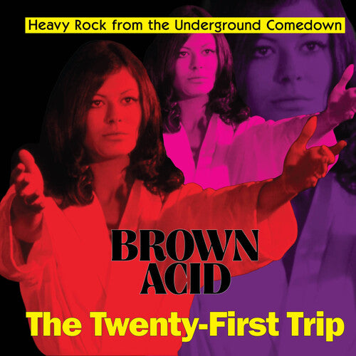 BROWN ACID - THE TWENTY-FIRST TRIP / VARIOUS - BROWN ACID - THE TWENTY-FIRST TRIP / VARIOUS