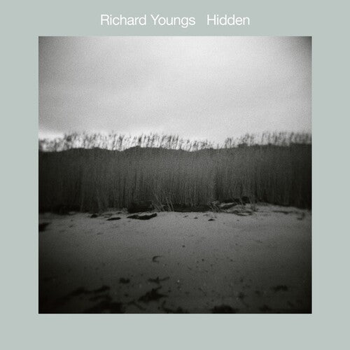 YOUNGS,RICHARD - HIDDEN