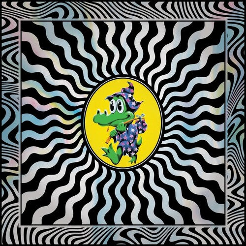 KING GIZZARD AND THE LIZARD WIZARD - FIELD OF VISION '25